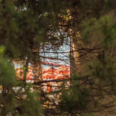 Summer Vibes Apartman *