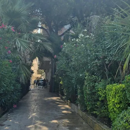 Summer Vibes غوليم