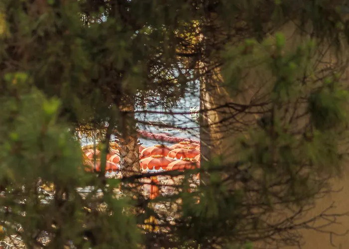 Summer Vibes Appartement *